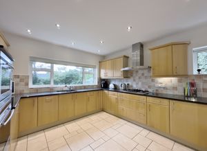 Photo 14- click for photo gallery